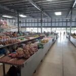 Nadi: Private Tour with Temple, Garden, Markets & Mud Pools - Authentic Insights from Past Travelers