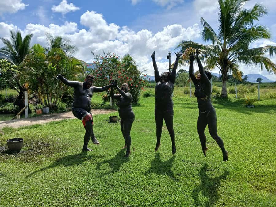 NADI: Sabeto Tifajek Mudpool & Hot Spring Tours & Tickets - What to Expect from the Tour Experience