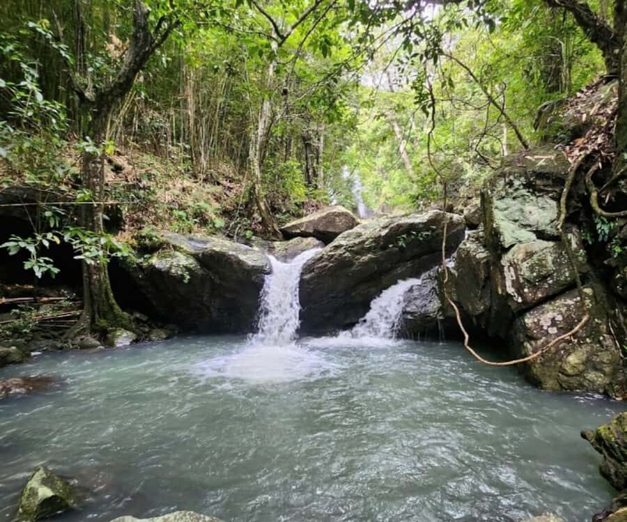 Nadi: Waterfall Tour Adventure with Refreshments and Lunch - Who Will Love This Tour?
