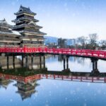Nagano Day Tour from Tokyo Zenko Ji Temple and Snow Monkeys - Transport and Logistics