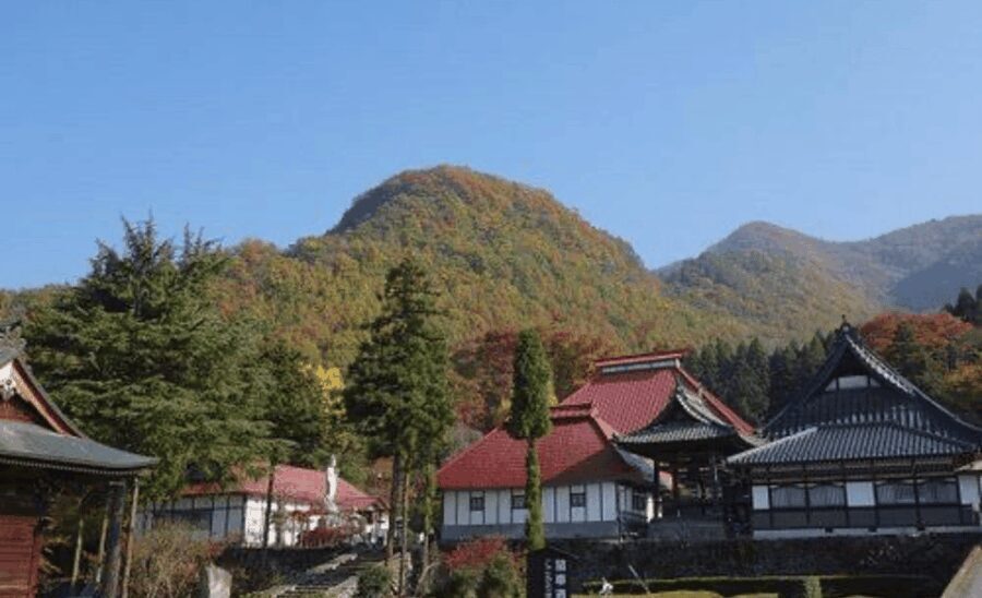 Nagano Full Day Private Tour: Zenkoji Temple, by Car - Value and Practicality