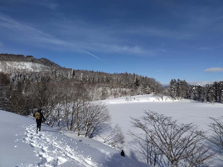 Nagano Iiyama : Snowshoe Hike a half-day, Nozawa, Madarao - Detailed Breakdown of the Itinerary