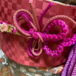 Nagano: Kimono and Matcha Experience - Who Will Love This Tour?