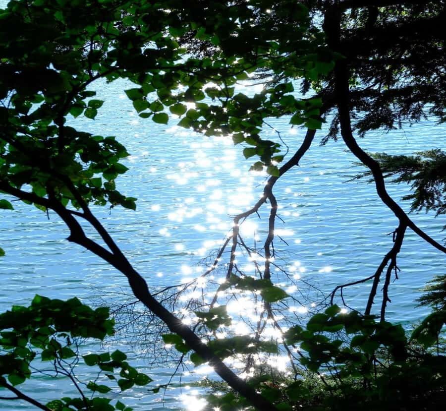 Nagano: Nikko Private Full-day Tour with Temples & Shrines - The Logistics: What You’ll Love