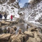 Nagano: Private Tour with Wine Tasting and Wagyu Lunch - Why This Tour Offers Great Value