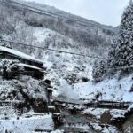 Nagano Snow Monkey Private Full-Day Tour - The Experience of Visiting Jigokudani Snow Monkey Park