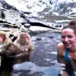 Nagano Snow Monkey & Zenkoji Private Customizable Tour - The Value of This Tour