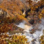 Nagano: Snow Monkeys, Sake Tasting & Zenkoji Private Tour - The Itinerary Breakdown: What You Can Expect