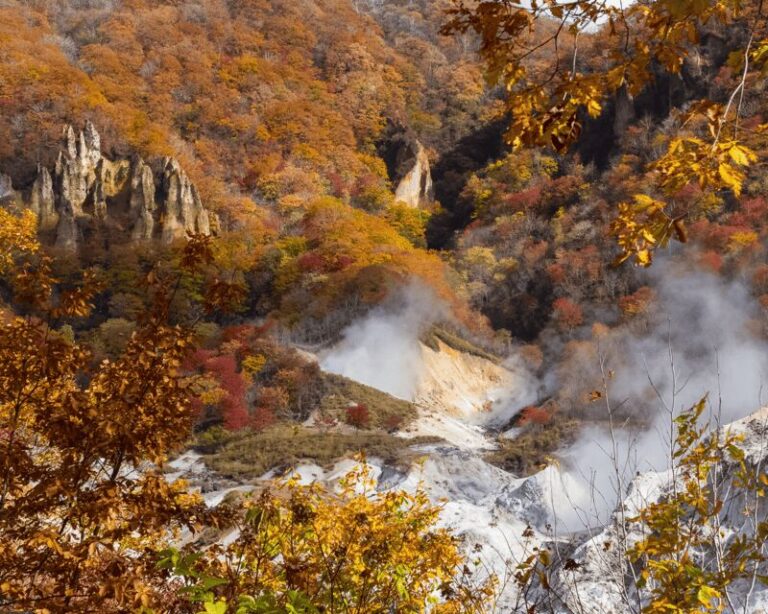 Nagano: Snow Monkeys, Sake Tasting & Zenkoji Private Tour - The Itinerary Breakdown: What You Can Expect