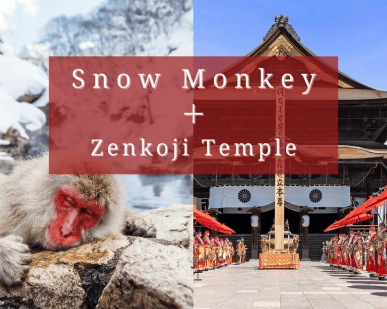 Nagano: Snow Monkeys, Sake Tasting & Zenkoji Private Tour - Why Choose a Private Tour?
