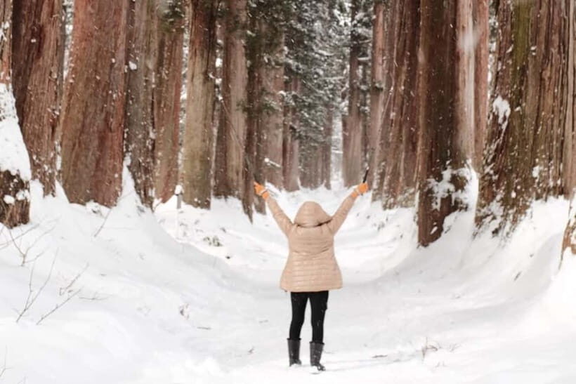 Nagano: Togakushi Shrine, Sake & Zenkoji Private Tour - What Makes This Tour Particularly Valuable