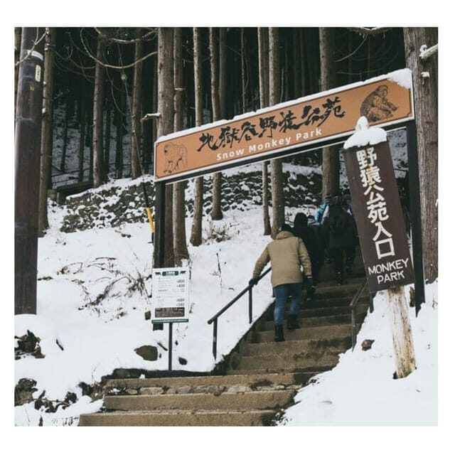 Nagano/Tokyo: Snow Monkey Private Day Tour At Lowest Rate - The Itinerary Breakdown: What to Expect