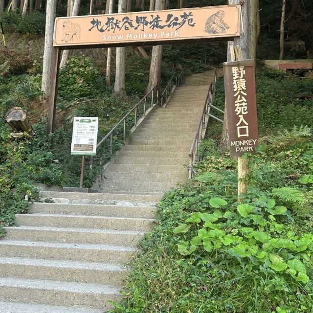 Nagano/Tokyo: Snow Monkey Private Day Tour At Lowest Rate - Practical Details and Value