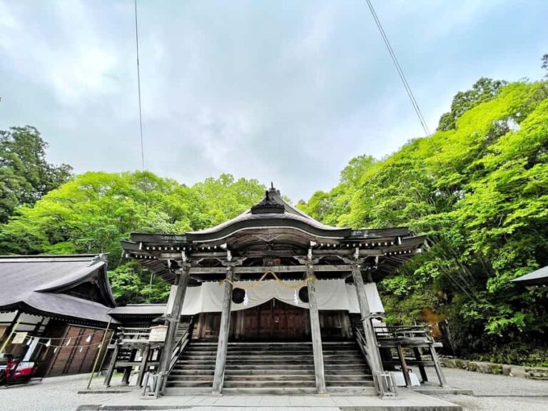 Nagano Tokyo: Snow Monkey Private Day Tour Hotel Pick & Drop - Practical Details and What to Expect