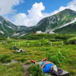 Nagano: Worlds Edge Tateyama Kurobe Alpine Route Tour - Who Should Consider This Tour?