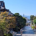 Nagano Zenkoji Temple Town Walking Tour with Oyaki Tasting - What to Expect and Practical Tips