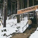 Naganos Snow Monkeys and Sake Tasting Day Tour - Analyzing the Value: Is It Worth the Price?