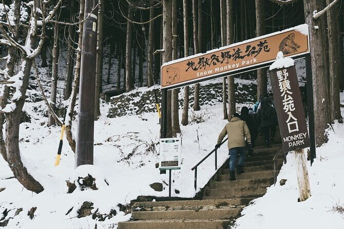 Naganos Snow Monkeys and Sake Tasting Day Tour - Analyzing the Value: Is It Worth the Price?