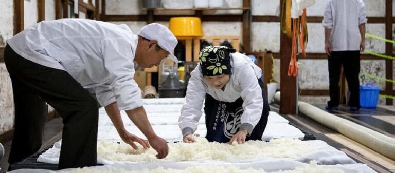 Nagaoka : Hasegawa Sake Brewery Tour and Tasting - Practical Details and Tips