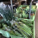 Nagasaki Sasebo: Traditional Cooking Class in Japanese House - What the Experience Involves