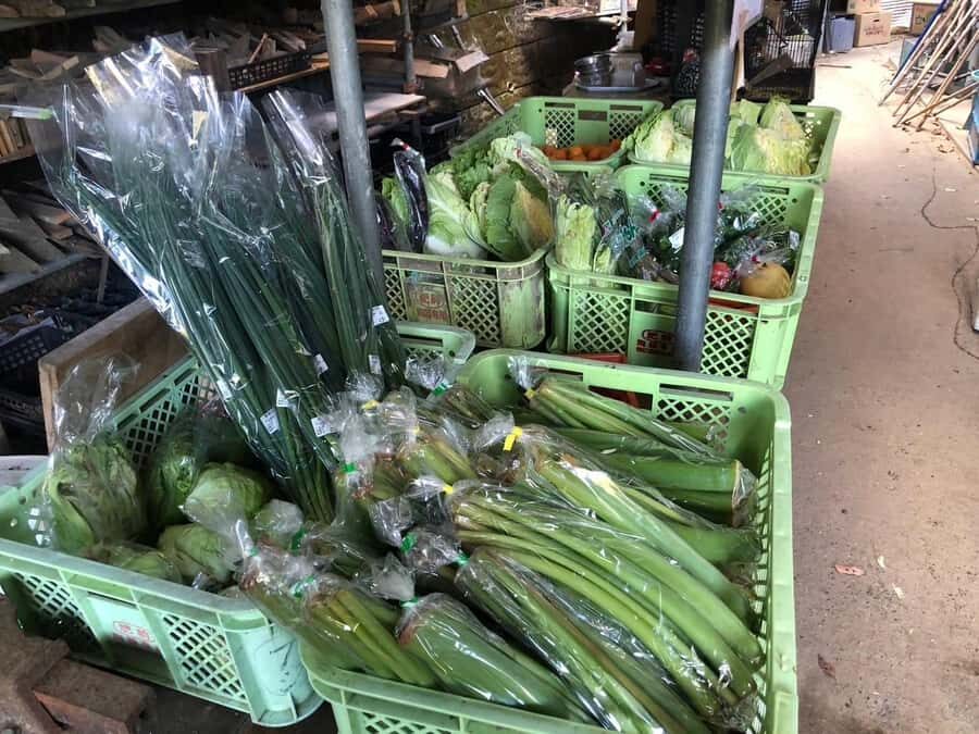 Nagasaki Sasebo: Traditional Cooking Class in Japanese House - What the Experience Involves