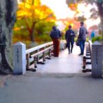 Nagoya: Exploring the Beauty of Tokugawa-en Garden - Final Thoughts