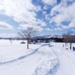 Nagoya: Gujo Hachiman, Snow Park, & Onsen Day Trip - Price and Value