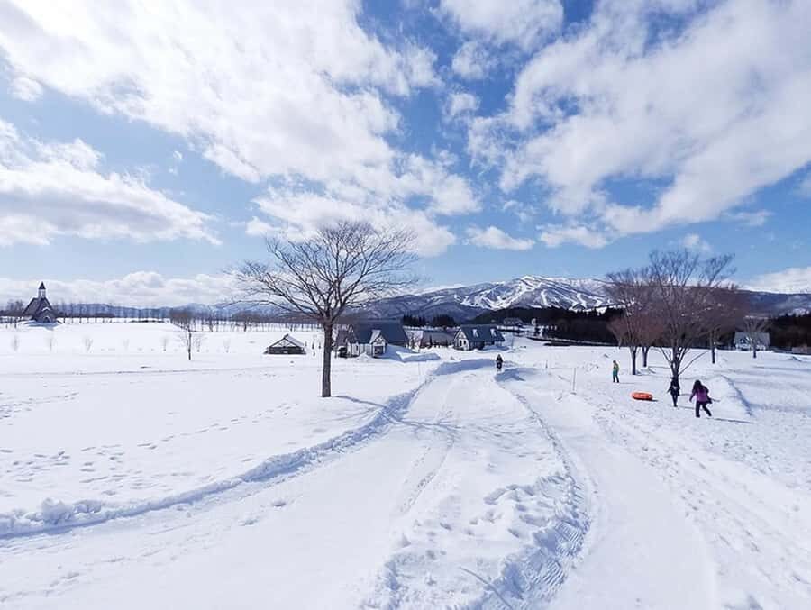 Nagoya: Gujo Hachiman, Snow Park, & Onsen Day Trip - Price and Value