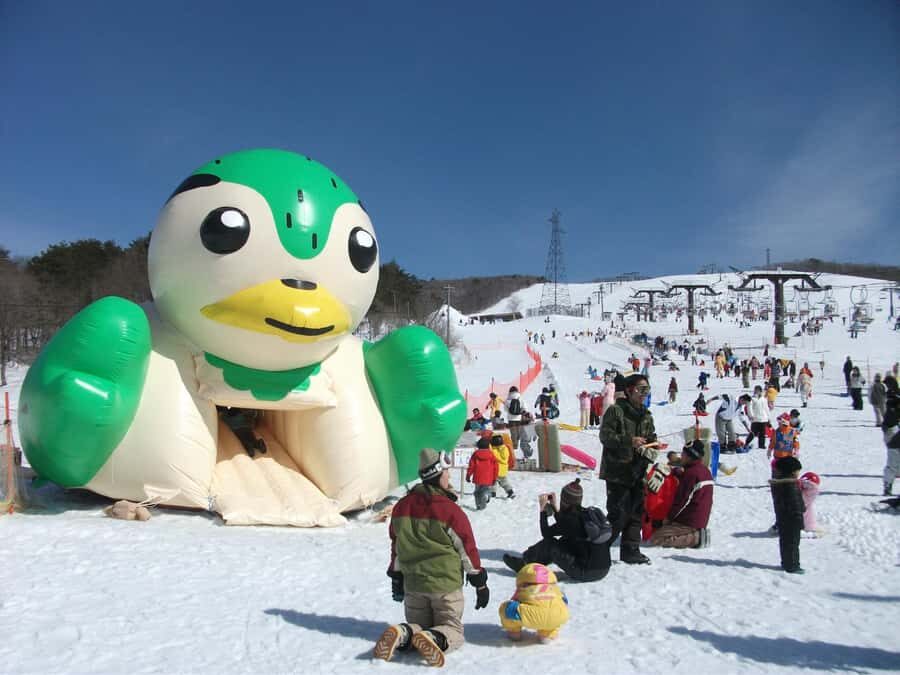 Nagoya: Hirugano Kogen Ski Resort Day Trip by Bus - Who Would Love This Experience?