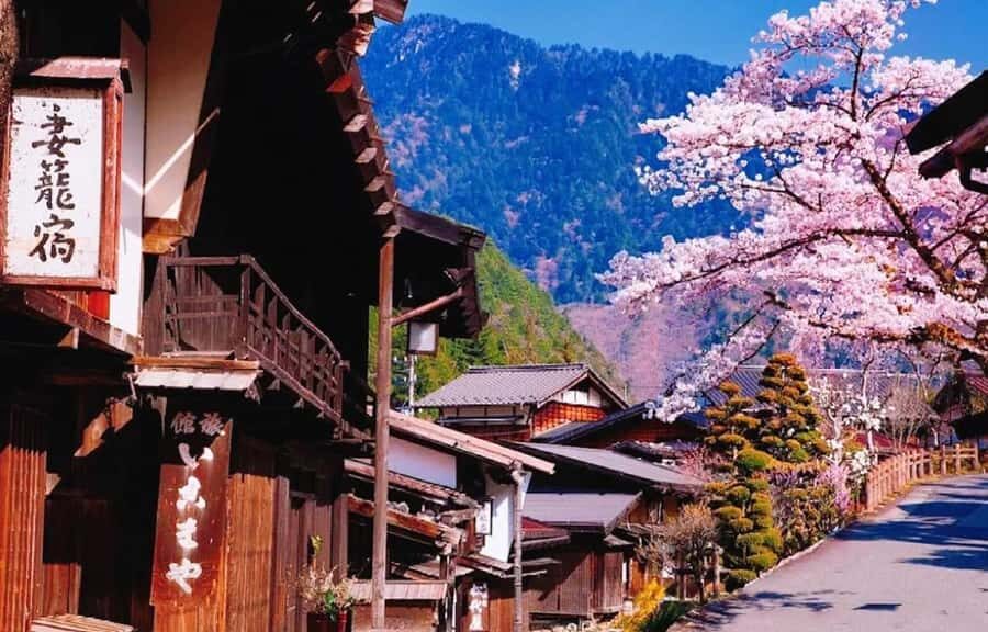 Nagoya: Inuyama Castle, Magome-juku, & Tsumago-juku Tour - Practical Details and What to Expect