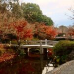 Nagoya: Nagashima Outlet Mall & Nabana no Sato Park Trip - An In-Depth Look at the Itinerary and Experience