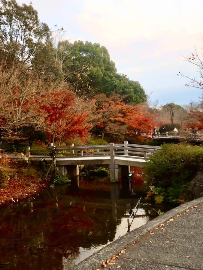 Nagoya: Nagashima Outlet Mall & Nabana no Sato Park Trip - An In-Depth Look at the Itinerary and Experience