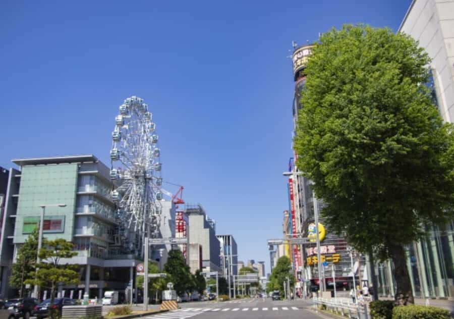 Nagoya: Private Customizable Shopping Tour with Guide - Exploring Nagoya’s Shopping Districts