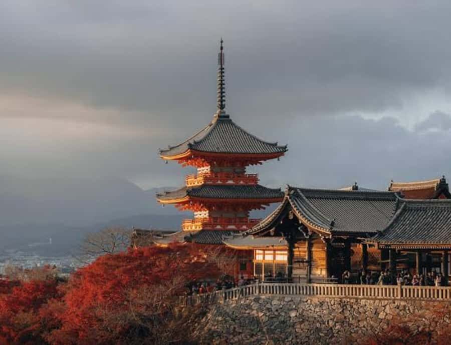 Nagoya: Private Kyoto Day Trip with Guide and Driver - Why Choose This Tour?