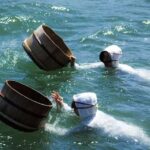 Nagoya Return, Ise Shrine, Mikimoto Pearl Island & Toba Tour - What We Love About This Tour