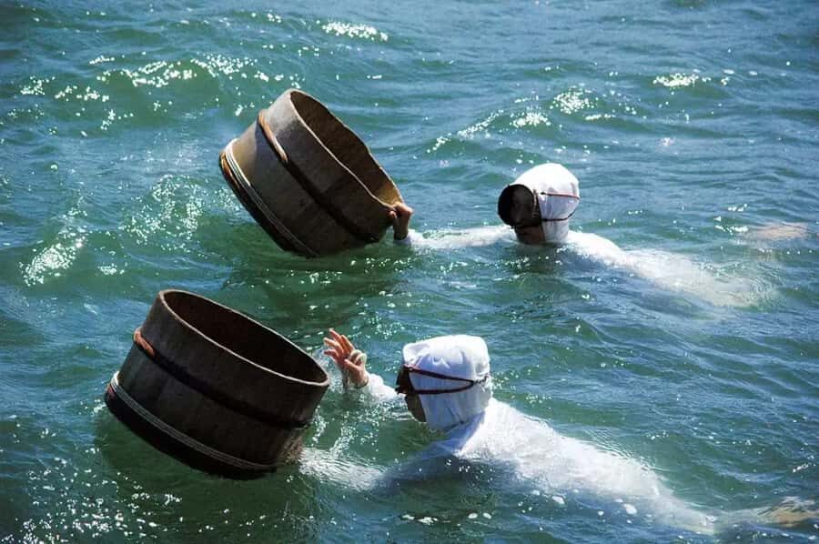 Nagoya Return, Ise Shrine, Mikimoto Pearl Island & Toba Tour - What We Love About This Tour