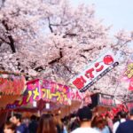 Nagoya Sakura Tour - Practical Details & What to Expect