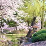 Nagoya Sakura Tour - Exploring Nagoya in Spring: A Detailed Look