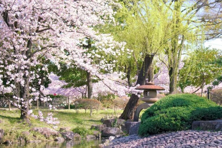 Nagoya Sakura Tour - Exploring Nagoya in Spring: A Detailed Look