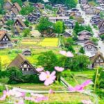 Nagoya Shirakawa go Private Transportation with English Driver - Who Is This Tour Best For?