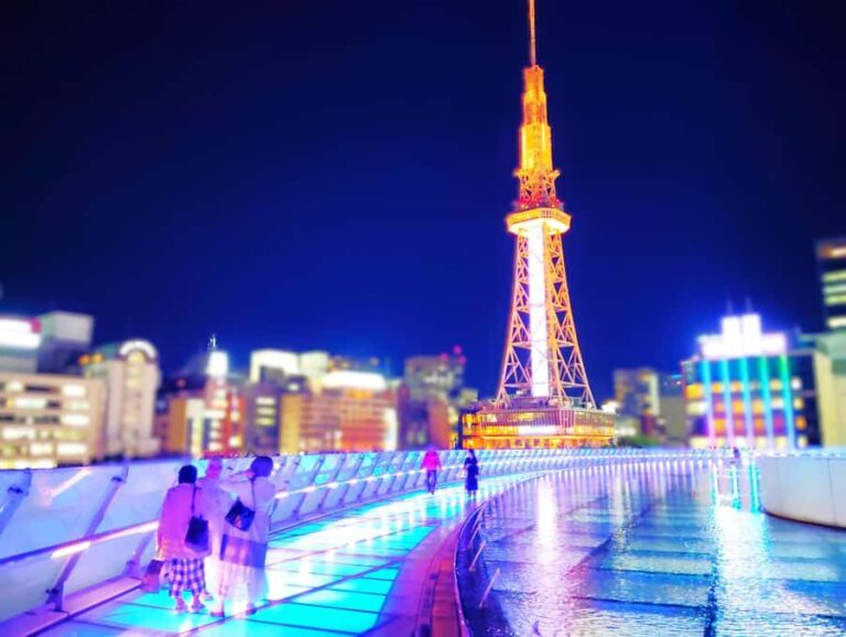 Nagoya: Two Towers, One Night of Urban Elegance - Who Is This Tour Best For?  
