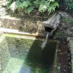 Naha: 1.5h Shurijo Castle Tour into the Heart of Ryukyu - Why This Tour Stands Out