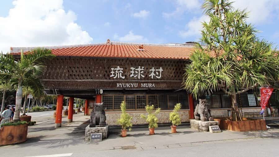 Naha: Discovering Northern Okinawa Private Tour - Practical Aspects of the Tour