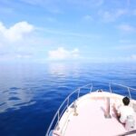 Naha, Okinawa: Kerama Islands Half-Day Whale Watching Tour - Authentic Insights from Reviewers