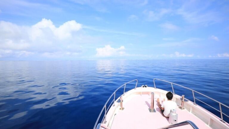 Naha, Okinawa: Kerama Islands Half-Day Whale Watching Tour - Authentic Insights from Reviewers