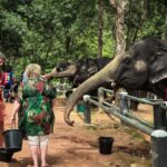 Naithon: Heart to Trunk - A Phuket Elephant Care Experience - Examining the Value