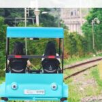 Nami, Alpaca, Petite France, Morning Calm Begonia One Day Tour - Who Will Love This Tour?