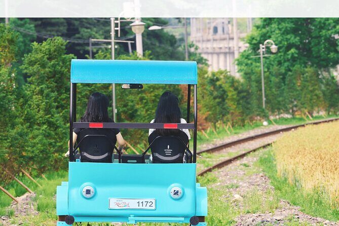 Nami, Alpaca, Petite France, Morning Calm Begonia One Day Tour - Who Will Love This Tour?