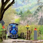 Nami island and Hanbok Wearing and Waterfall from Seoul - What Travelers Are Saying