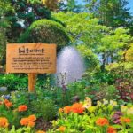 Nami Island from Seoul One Day Trip - Value for Money: Is It Worth $450?